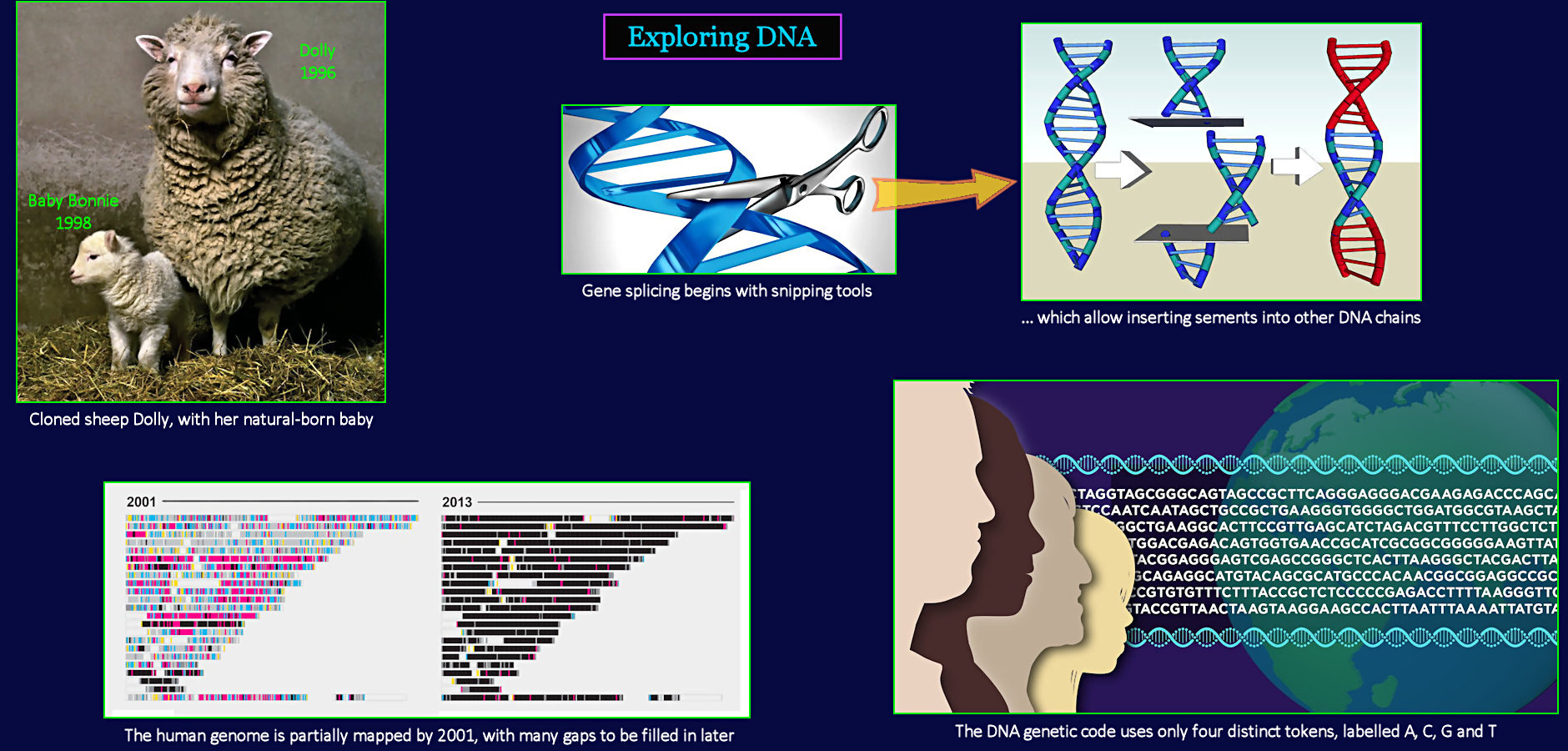 DNA, gene splicing, cloning, Dolly, 2010s